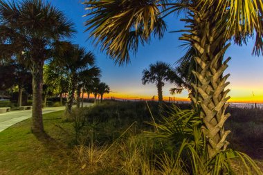 Güney Carolina 'daki Myrtle Sahili' nde Atlantik Okyanusu kıyısında sabah güneşinin doğuşu.. 