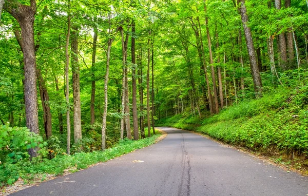 とどろくフォークのモーターの自然歩道 — ストック写真