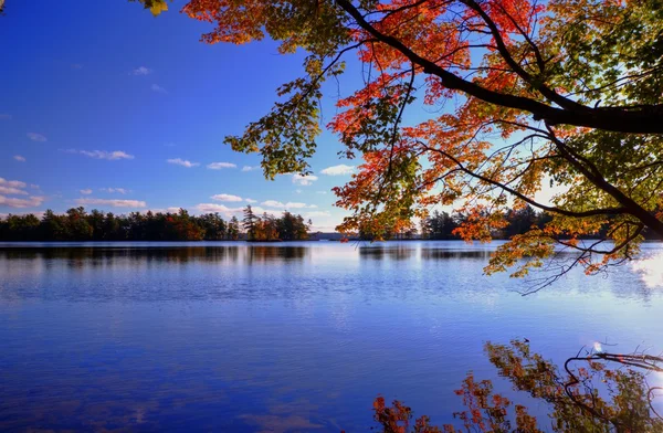 Otoño orilla del lago — Foto de Stock