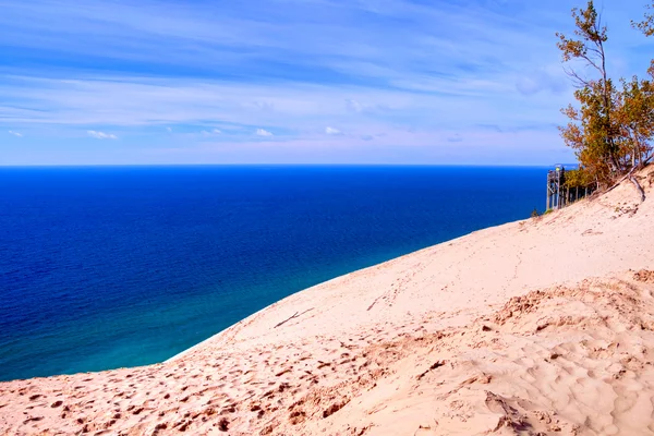 Alvó medve Dunes nemzeti tóparton — Stock Fotó