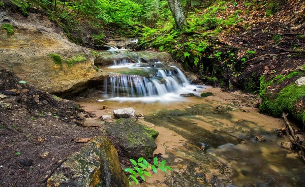 Waterfall In The Woods — Stock Photo, Image