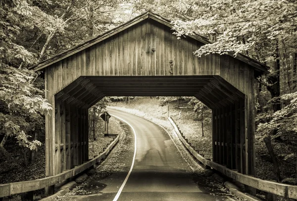 Ponte coperto — Foto Stock