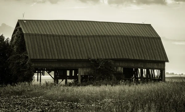 Morte da fazenda da família — Fotografia de Stock