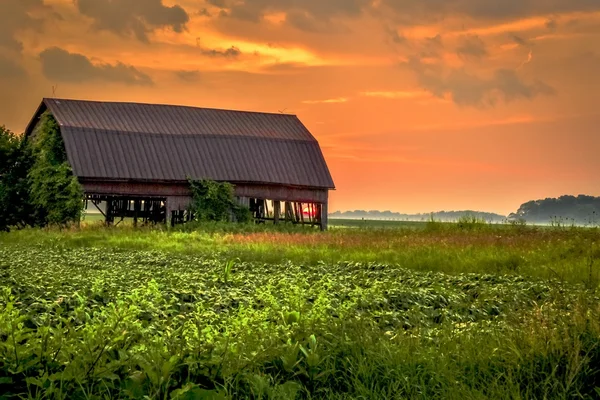 農家の夕日 ロイヤリティフリーのストック画像