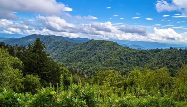 Jaro v Great Smoky Mountains — Stock fotografie