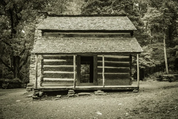 Pioneer Cabin — Stock Photo, Image