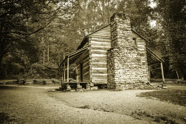 Pioneer Cabin — Stock Photo, Image