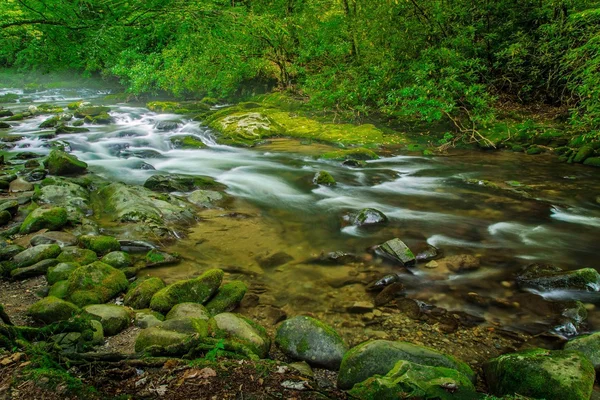 Fluxo de montanha fumegante — Fotografia de Stock