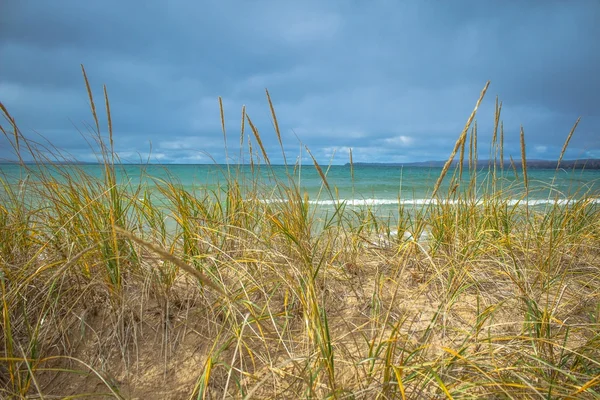 Bem-vindo à praia — Fotografia de Stock