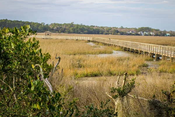 Carolina lage land — Stockfoto