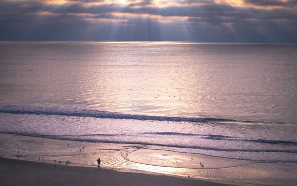 Côte de Myrtle Beach — Photo