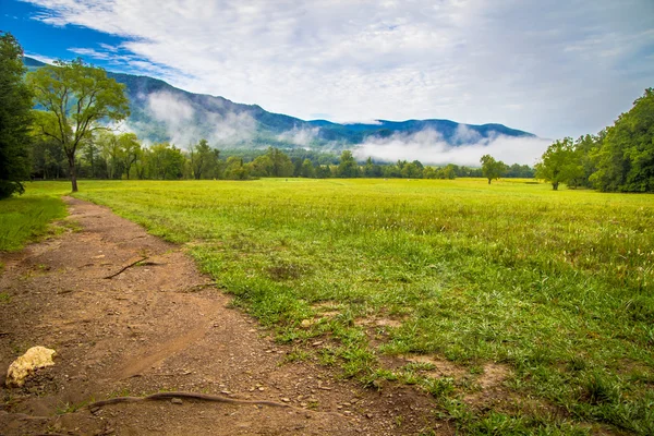 Cades Cove primavera — Foto de Stock