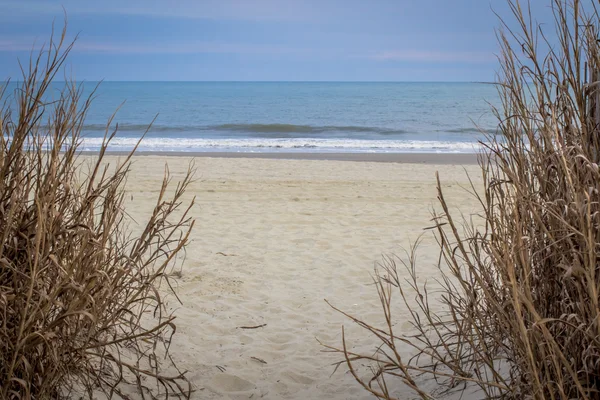 O caminho para a praia — Fotografia de Stock