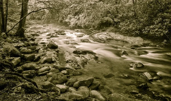 Sereno torrente di montagna — Foto Stock