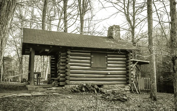 Cabana de madeira no bosque — Fotografia de Stock