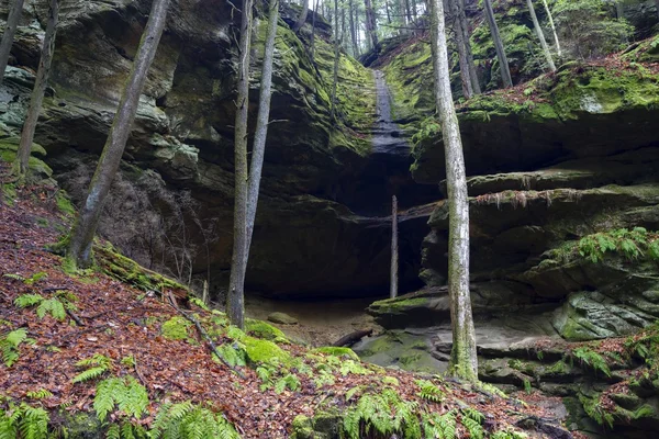 Puente de Rakotz (Rakotzbrucke, puente del diablo) en Kromlau, Alemania