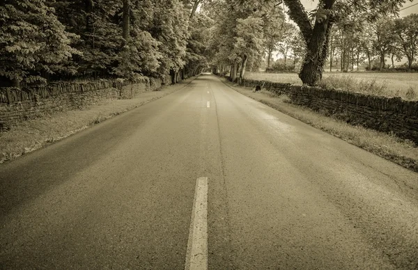 De lange weg naar huis — Stockfoto