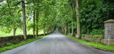 Old Frankfort Pike