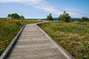 Sahilde sahil yürüyüşü