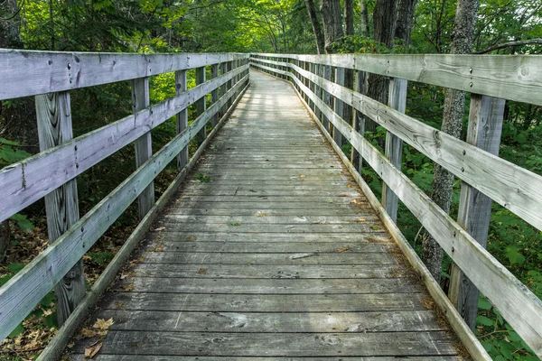 The Journey — Stock Photo, Image