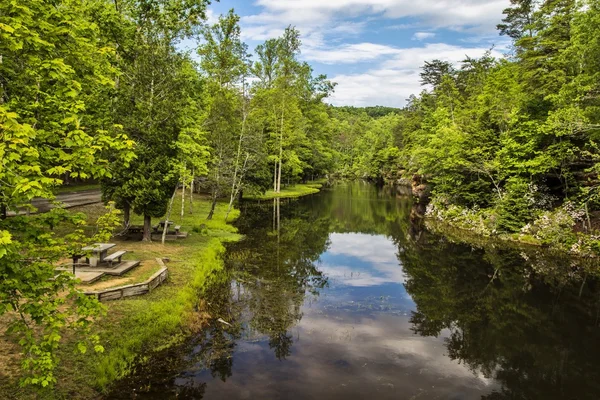 Pickett State Park — Stock Photo, Image