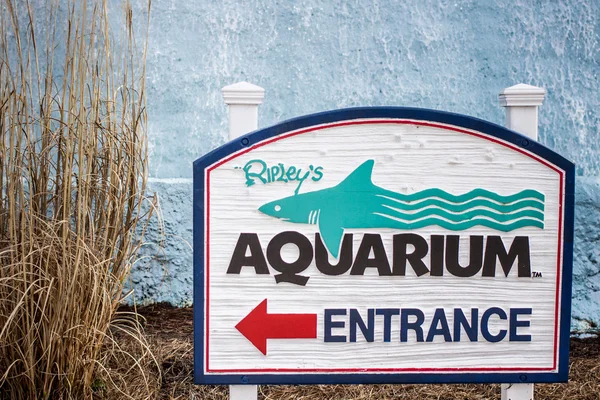 Acquario di Ripley — Foto Stock