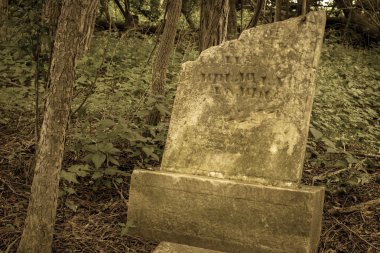 Terk edilmiş ve unutulmuş