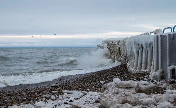 Göl üzerinde kış — Stok fotoğraf