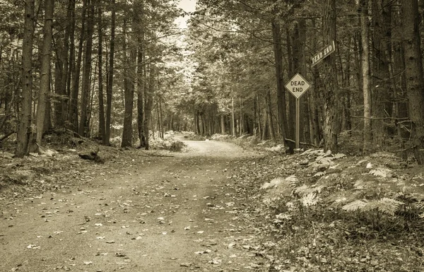 Çıkmaz yol — Stok fotoğraf