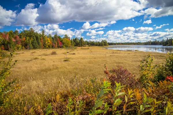 Feuchtgebiete im Herbst — Stockfoto