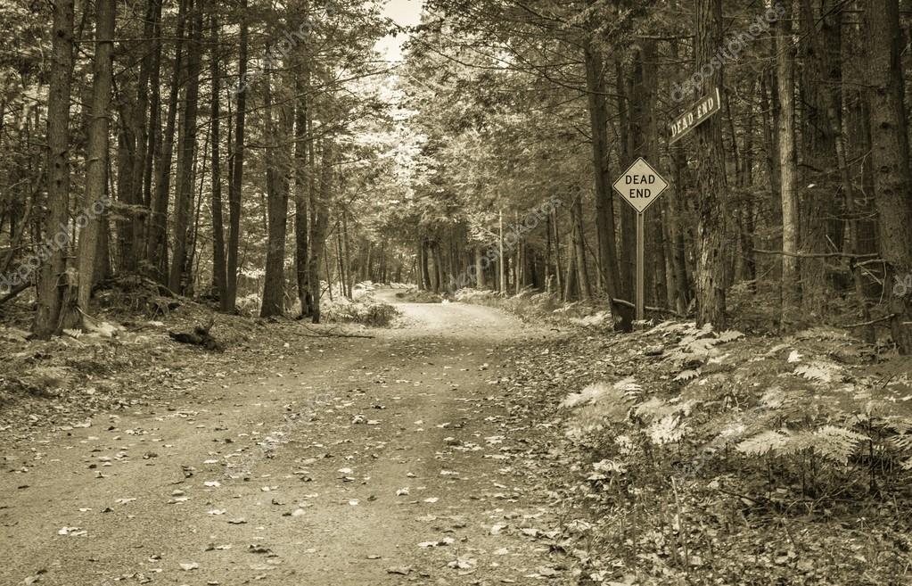 Dead End Road Stock Photo By C Ehrlif
