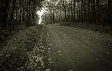 Karanlık ve yalnız yol ev