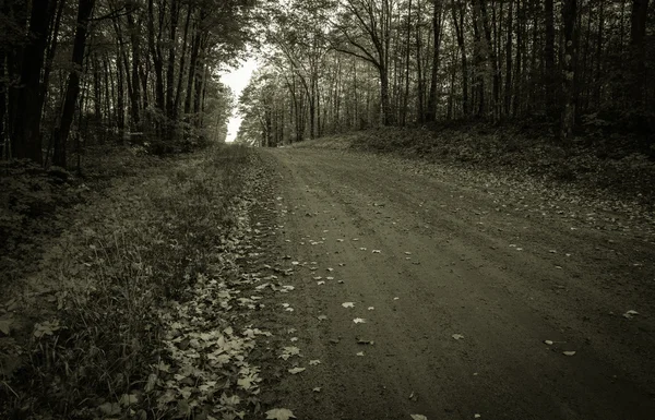 The Dark And Lonely Road Home — Stock Photo, Image