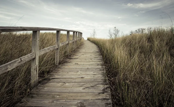 El camino a seguir — Foto de Stock