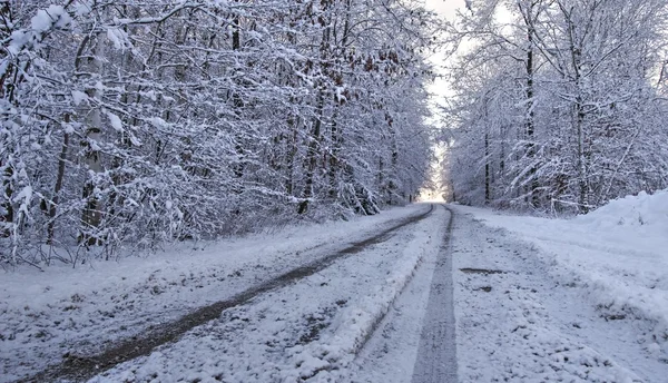 Conduite dangereuse en hiver — Photo