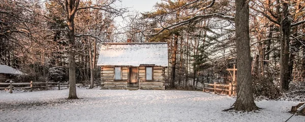 Ormanda küçük günlük kabin