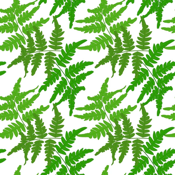 白い背景のシダの枝とのシームレスなパターン。ベクター eps 10. — ストックベクタ