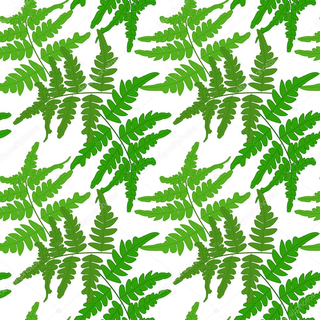 Seamless pattern with branches of fern on a white background. Vector eps 10.