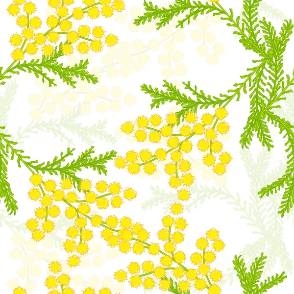 Patrón sin costuras con flores de mimosa sobre un fondo blanco. Vector eps 10 . — Vector de stock