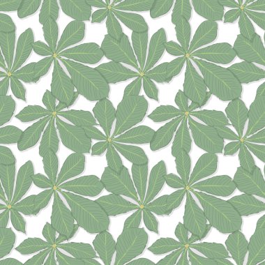 Yeşil kestane Dikişsiz desen beyaz bir arka plan üzerinde bırakır. Vektör eps 10.