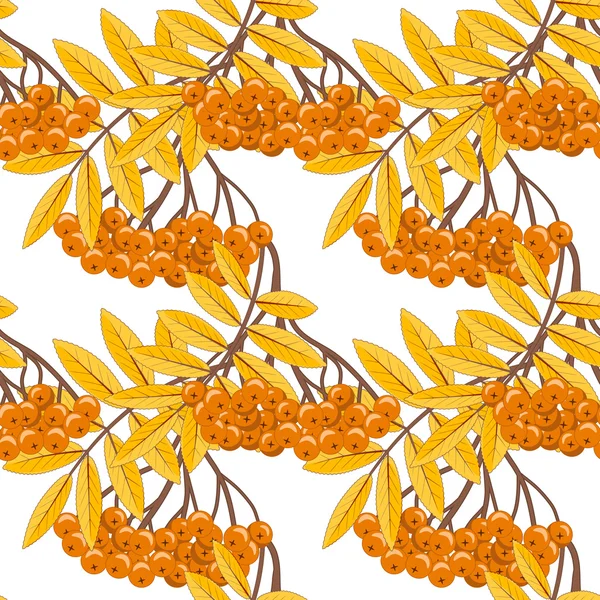 Modèle sans couture automne avec des branches de rowan sur un fond blanc. Vecteur eps 10 . — Image vectorielle