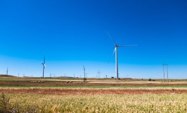Sonbahar Zhangjiakou Hebei Çin'in otlak