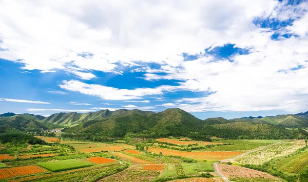 中国北京的四个季节的花海 — 图库照片