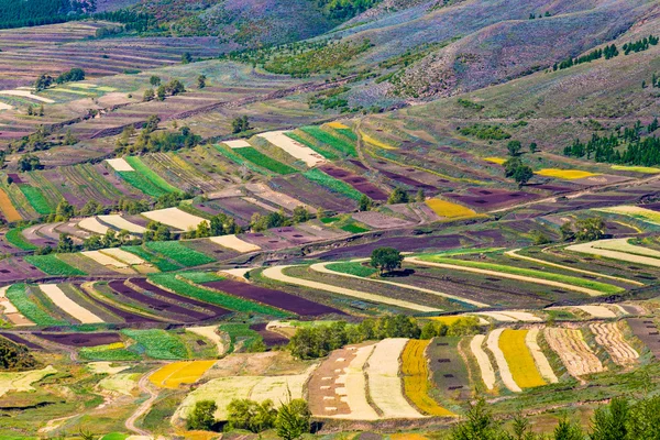 Sonbahar Zhangjiakou Hebei Çin'in otlak