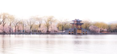 Kiraz çiçekleri ve bahar çiçekleri yaz turistler