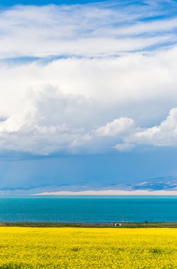 manzara Qing-hai Gölü Çin