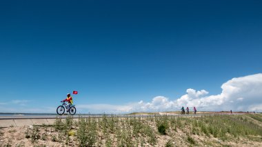 Qinghai Gölü manzarası ve Turizm