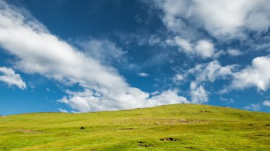 Qilian otlak sahne