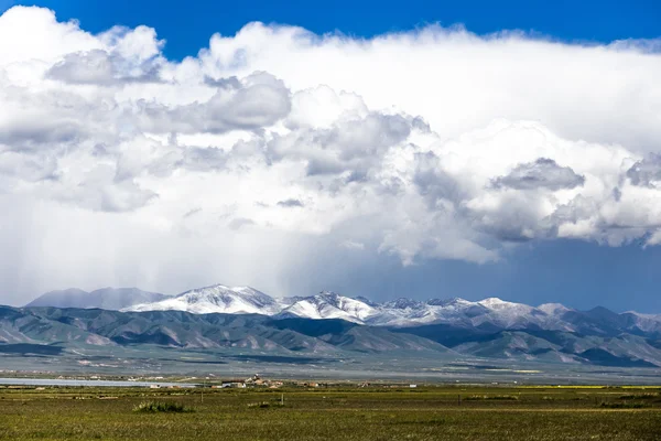 Qinghai Gölü manzarası ve kar dağ