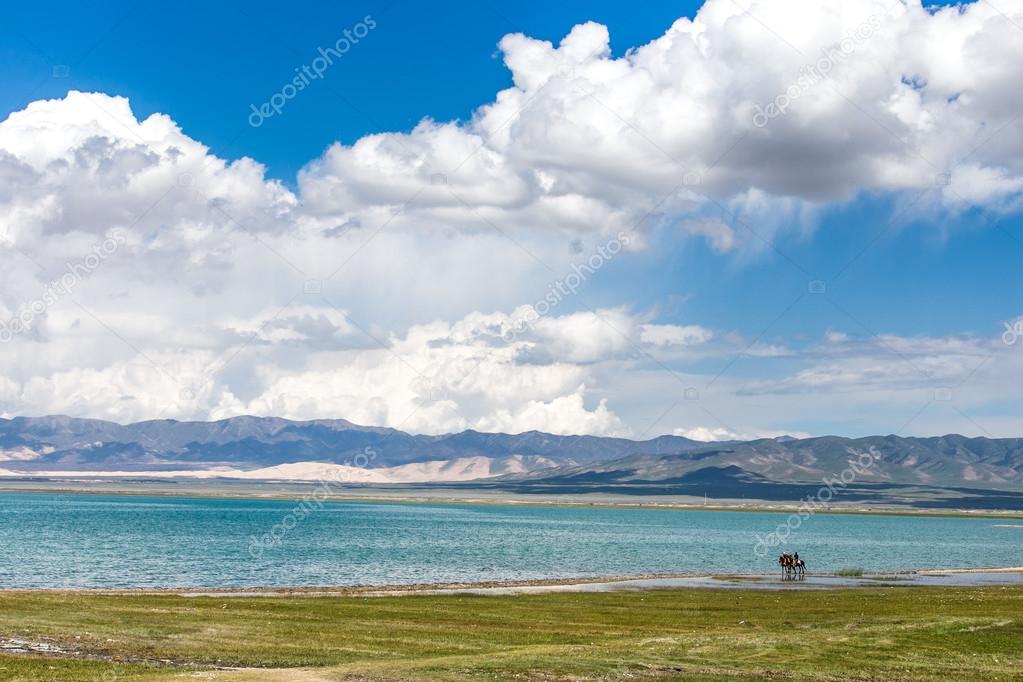 landscape of Qing-hai lake China